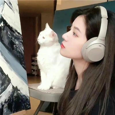 寻找老夫子